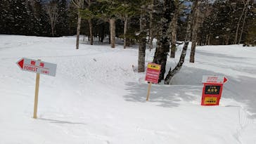 野麦峠スキー場に投稿された画像（2022/3/24）