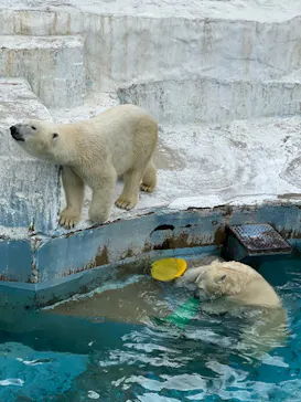 天王寺動物園に投稿された画像（2022/3/24）