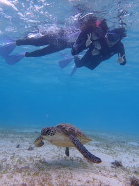 ちゃこたびに投稿された画像（2022/3/24）