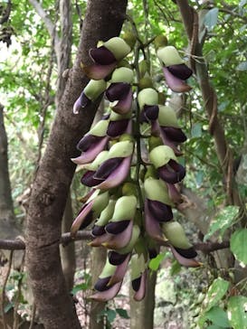 アスムイハイクスに投稿された画像（2022/3/24）