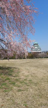 大阪城公園 西の丸庭園に投稿された画像（2022/3/24）