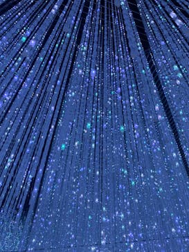 森ビル デジタルアート ミュージアム：エプソン チームラボボーダレスに投稿された画像（2022/3/24）