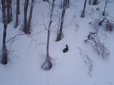 野沢温泉スキー場に投稿された画像（2022/3/24）