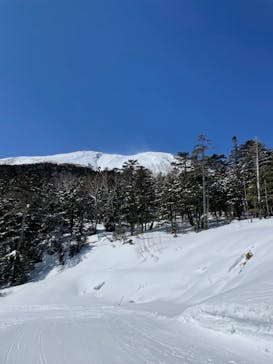 信州開田高原マイアスキー場に投稿された画像（2022/3/24）