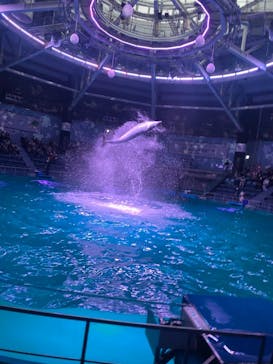 マクセル アクアパーク品川に投稿された画像（2022/3/24）