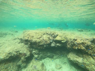 武藤潜水に投稿された画像（2022/3/25）