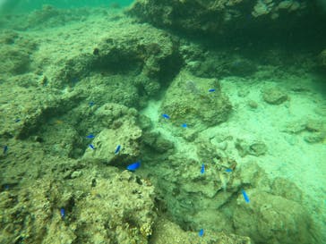 武藤潜水に投稿された画像（2022/3/25）