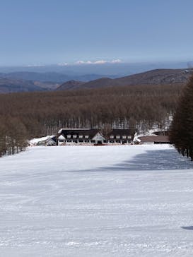 しらかば2in1スキー場に投稿された画像（2022/3/25）