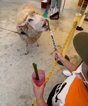 沖縄こどもの国に投稿された画像（2022/3/25）