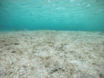 武藤潜水に投稿された画像（2022/3/25）