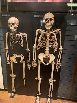 国立科学博物館に投稿された画像（2022/3/25）