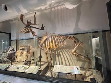 国立科学博物館に投稿された画像（2022/3/25）