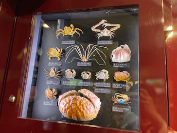 国立科学博物館に投稿された画像（2022/3/25）