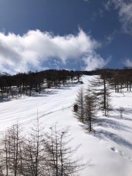 アサマ2000パークに投稿された画像（2022/3/25）