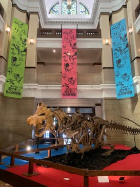 国立科学博物館　特別企画展「ポケモン化石博物館」に投稿された画像（2022/3/25）