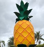 ナゴパイナップルパークに投稿された画像（2022/3/25）