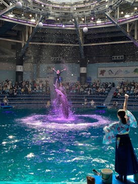 マクセル アクアパーク品川に投稿された画像（2022/3/25）