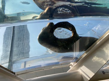 サンシャイン水族館に投稿された画像（2022/3/25）