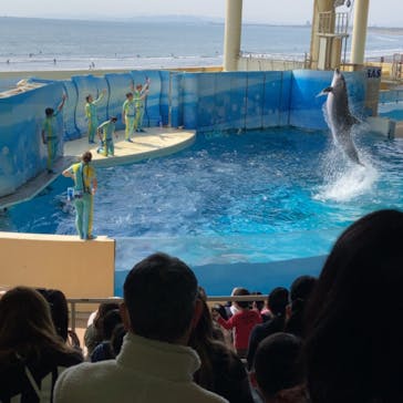 新江ノ島水族館に投稿された画像（2022/3/25）