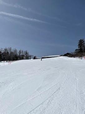 富士見パノラマリゾートに投稿された画像（2022/3/25）