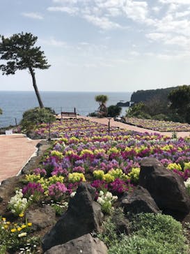 ニューヨークランプミュージアム＆フラワーガーデンに投稿された画像（2022/3/25）