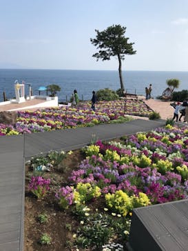 ニューヨークランプミュージアム＆フラワーガーデンに投稿された画像（2022/3/25）