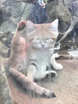 神戸どうぶつ王国に投稿された画像（2022/3/25）