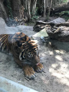 神戸どうぶつ王国に投稿された画像（2022/3/25）