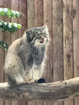 神戸どうぶつ王国に投稿された画像（2022/3/25）