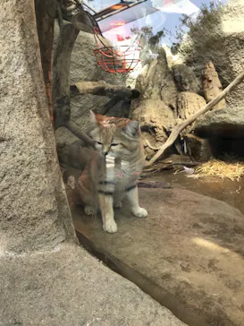 神戸どうぶつ王国に投稿された画像（2022/3/25）