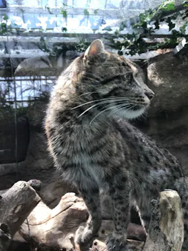 神戸どうぶつ王国に投稿された画像（2022/3/25）