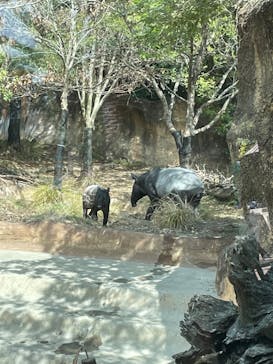 よこはま動物園ズーラシアに投稿された画像（2022/3/25）