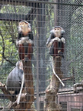 よこはま動物園ズーラシアに投稿された画像（2022/3/25）