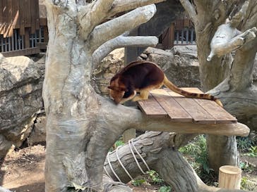 よこはま動物園ズーラシアに投稿された画像（2022/3/25）