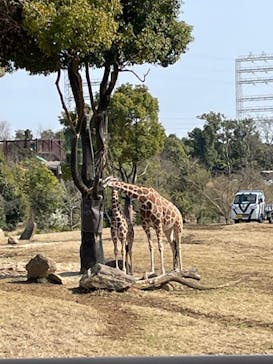 よこはま動物園ズーラシアに投稿された画像（2022/3/25）
