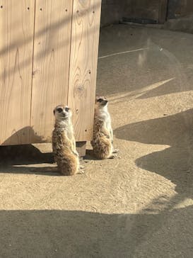 よこはま動物園ズーラシアに投稿された画像（2022/3/25）