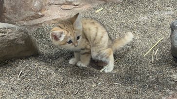 那須どうぶつ王国に投稿された画像（2022/3/25）