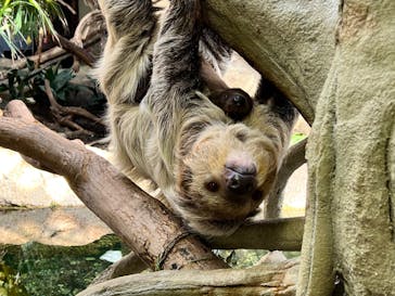 那須どうぶつ王国に投稿された画像（2022/3/25）