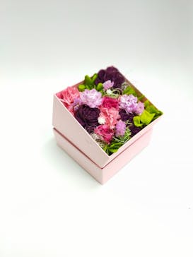 ずこうしつ〜sugamo〜に投稿された画像（2022/3/25）