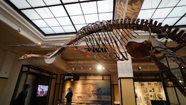 国立科学博物館に投稿された画像（2022/3/25）