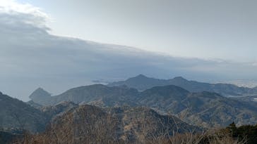 伊豆パノラマパークに投稿された画像（2022/3/25）