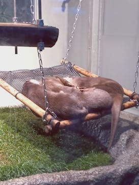 サンシャイン水族館に投稿された画像（2022/3/25）