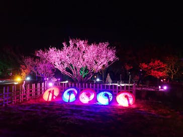 せんだい農業園芸センター　みどりの杜に投稿された画像（2022/3/25）