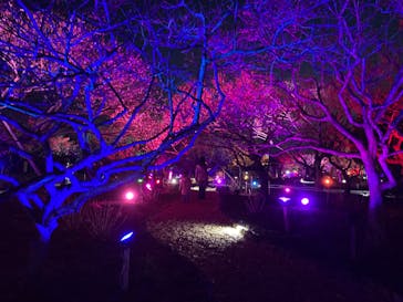 せんだい農業園芸センター　みどりの杜に投稿された画像（2022/3/25）