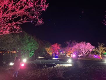 せんだい農業園芸センター　みどりの杜に投稿された画像（2022/3/25）