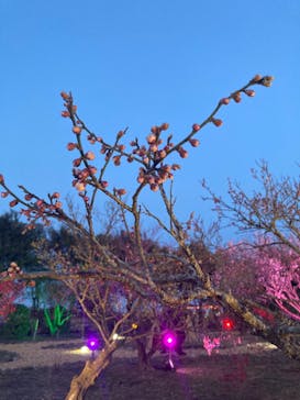 せんだい農業園芸センター　みどりの杜に投稿された画像（2022/3/25）