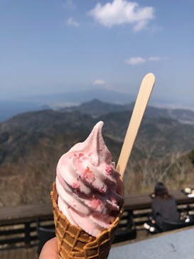 伊豆パノラマパークに投稿された画像（2022/3/25）