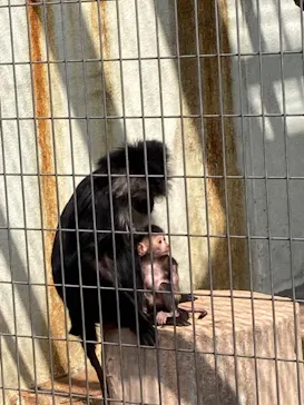 天王寺動物園に投稿された画像（2022/3/25）