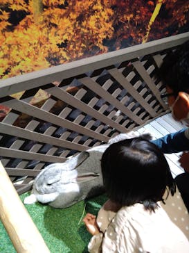 Moff animal world MARK IS みなとみらい店に投稿された画像（2022/3/25）