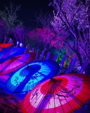 せんだい農業園芸センター　みどりの杜に投稿された画像（2022/3/25）